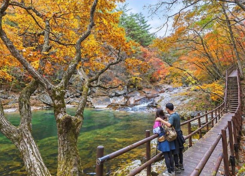 무주 구천동 어사길 가을 단풍여행! 3.3km 숲길 트레킹 코스..(2시간 30분이면 충분! 무주 구천....