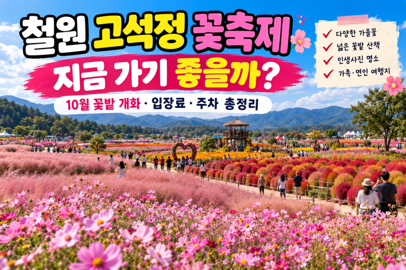 철원 고석정 꽃축제 지금 가기 좋을까? 10월 꽃밭 개화·입장료·주차 총정리