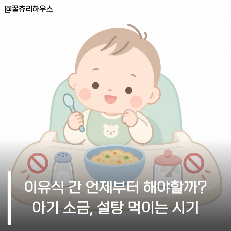 이유식 간 언제부터 해야할까? 아기 소금 설탕 먹이는 시기 총정리