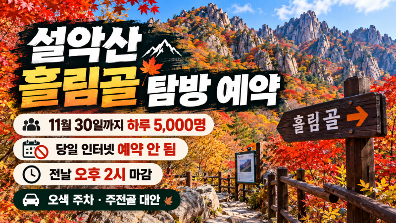 설악산 흘림골 탐방 예약, 11월 30일까지 하루 5,000명이고 당일 인터넷 예약은 안 됩니다 | 전....