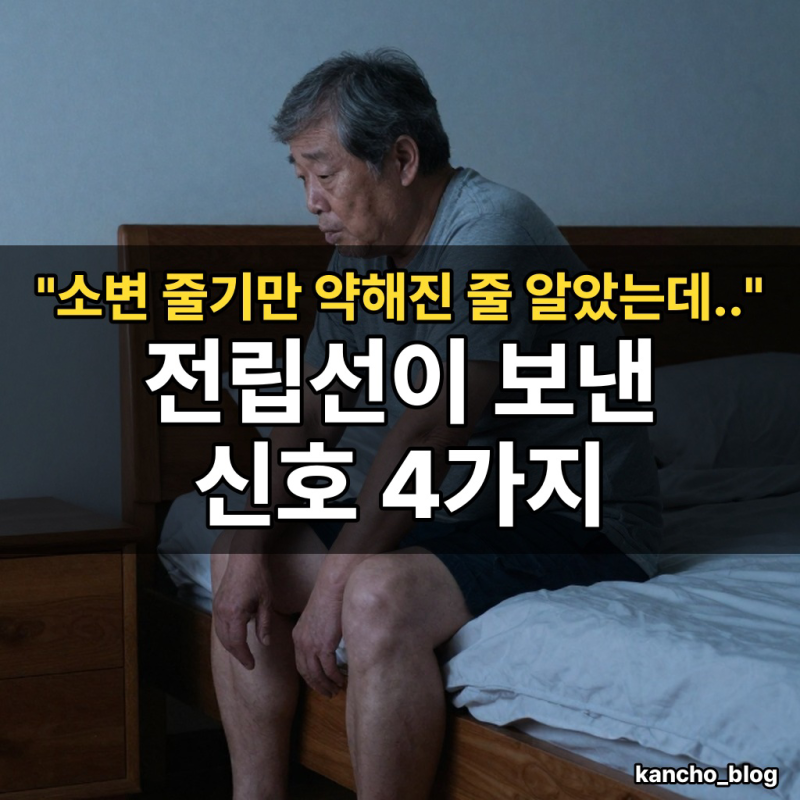 "소변 줄기만 약해진 줄 알았는데.." 전립선이 보낸 신호 4가지｜전립선비대증 증상