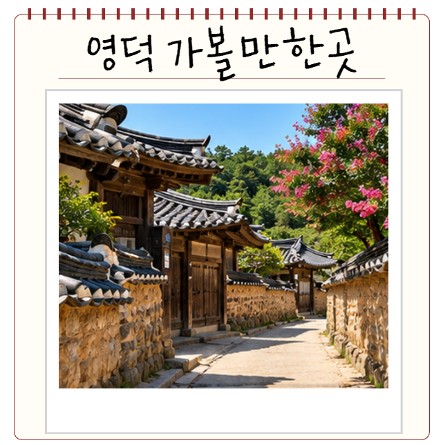 영덕 가볼만한곳 BEST 7 바다 따라 즐기는 영덕 여행코스