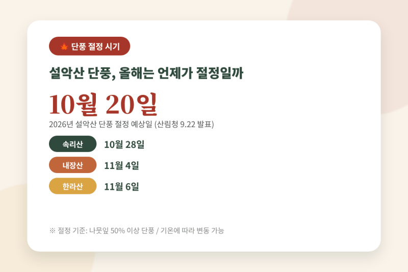 설악산 단풍 케이블카 당일구매 꿀팁ㅣ절정시기·주차·교통통제 총정리