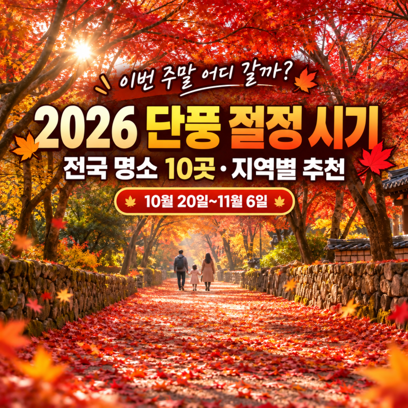 단풍 날짜 아직 못 잡았다면? 2026 전국 단풍 명소 10곳 절정 시기