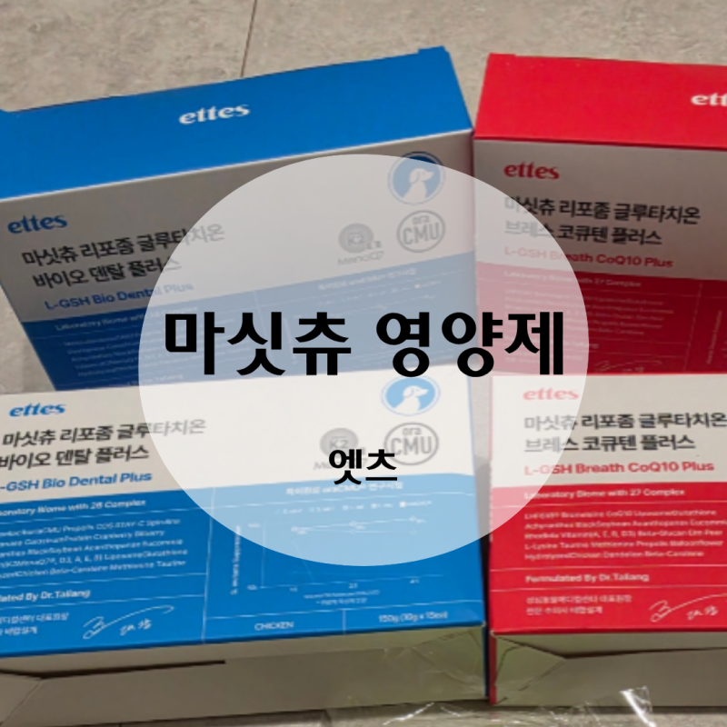 강아지 건강관리 리포좀 영양제 엣츠 마싯츄 내돈내산 구매 후기