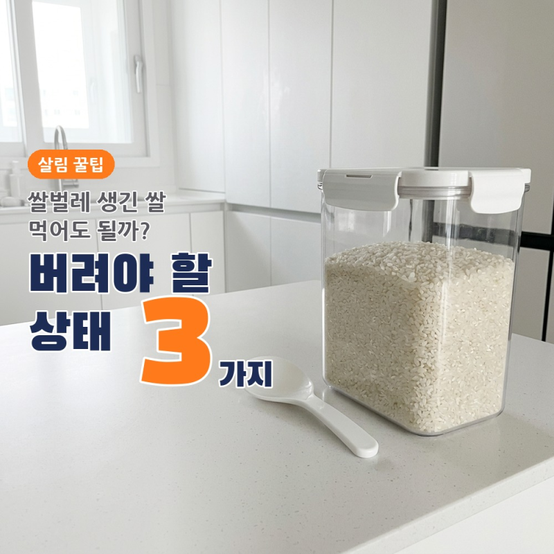 쌀벌레 생긴 쌀 먹어도 될까? 버려야 할 상태 3가지와 씻는 순서