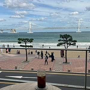 광안리 오션뷰 카페 ‘리코리카’ 내돈내산후기 + 부산불꽃축제 좌석 예약