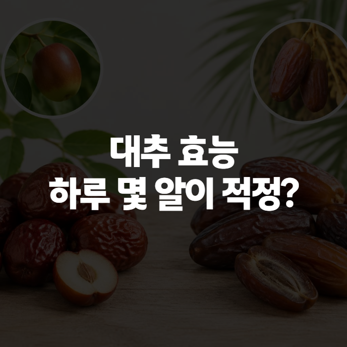 대추 효능 효과 완전정리, 사과대추 당뇨 칼로리까지 알아야 제대로 먹는다