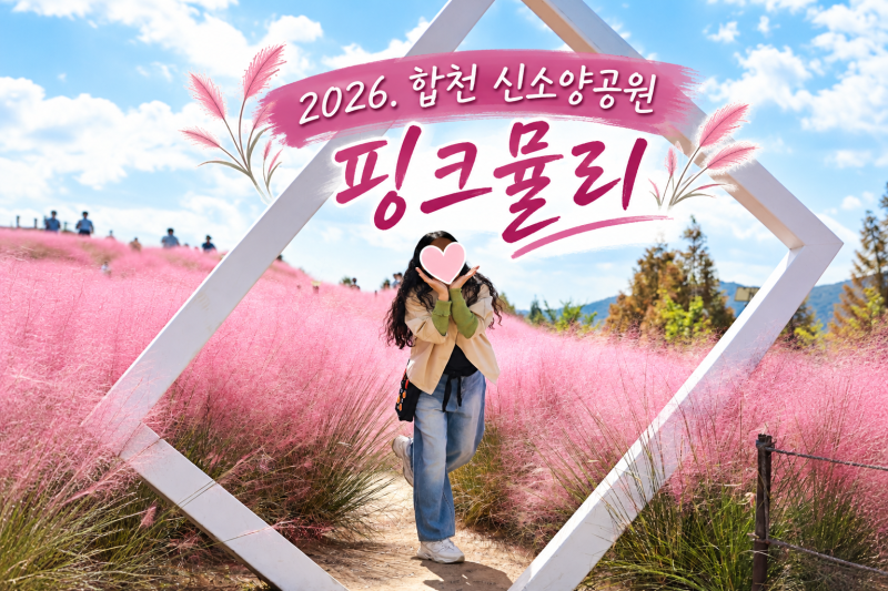 합천 핑크뮬리 명소 신소양체육공원 황화코스모스 2026년 10월 현장 후기