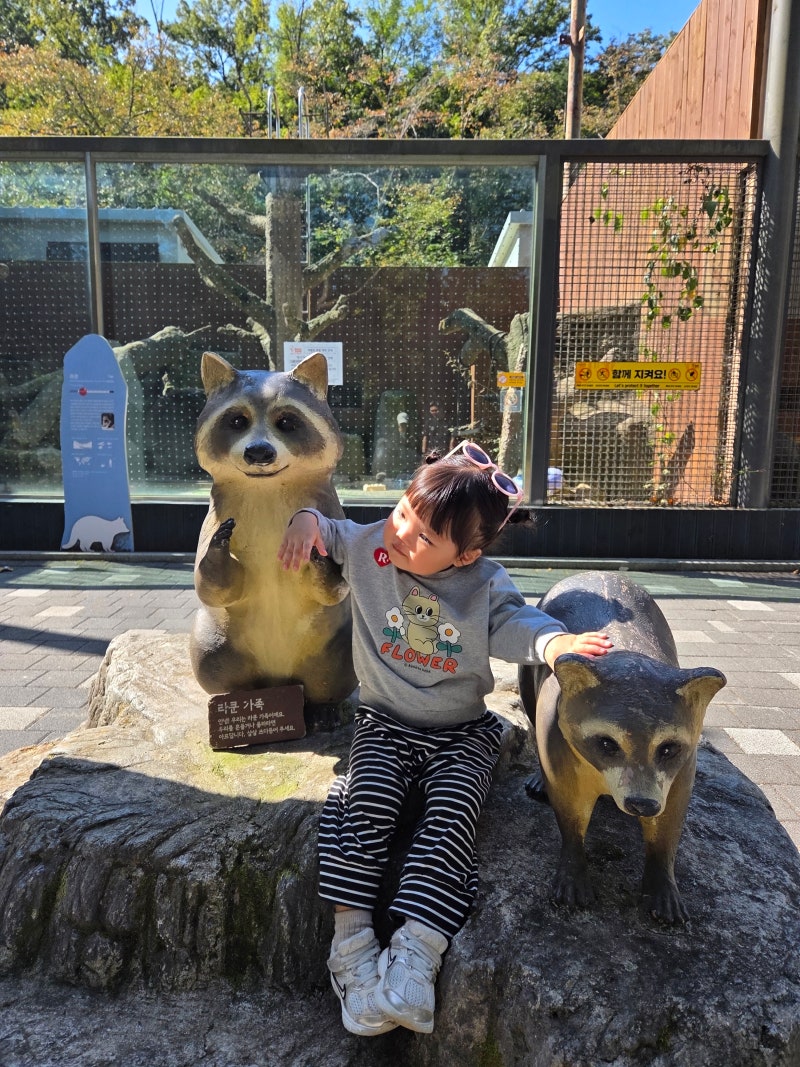 [서울대공원 아기랑] 30개월 아기랑 연휴 나들이! 카카오 발렛 주차, 오후 4시 호랑이 명당 꿀....