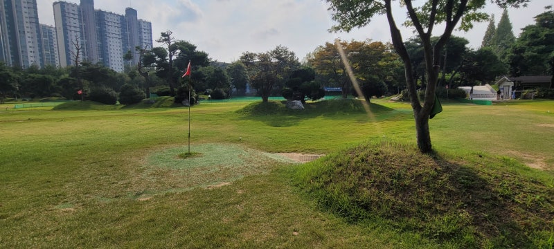 [파크골프 연재 4편] 파크골프 초보자 기본 자세와 스윙, 이렇게 시작하세요