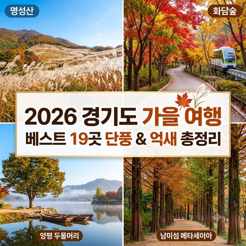 2026 경기도 가을 여행 베스트 19곳 단풍 및 억새 명소 총정리