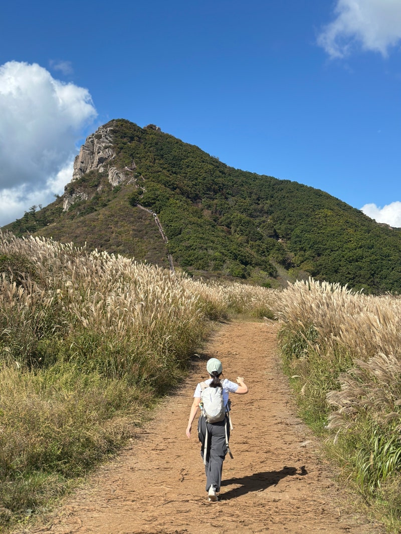 [100대 명산 08] 10월초 황매산 억새군락지&수국정원, 26년 황매산억새축제, 합천 가볼만한곳, ....