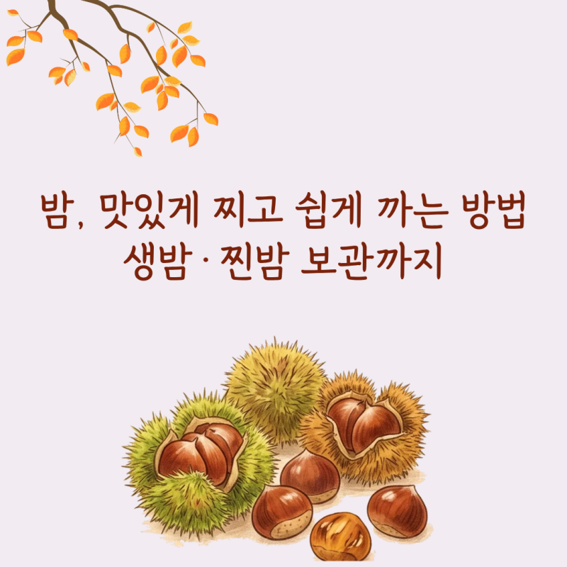 밤 찌는 시간과 방법, 밤 쉽게 까는 법부터 생밤·찐밤 보관까지