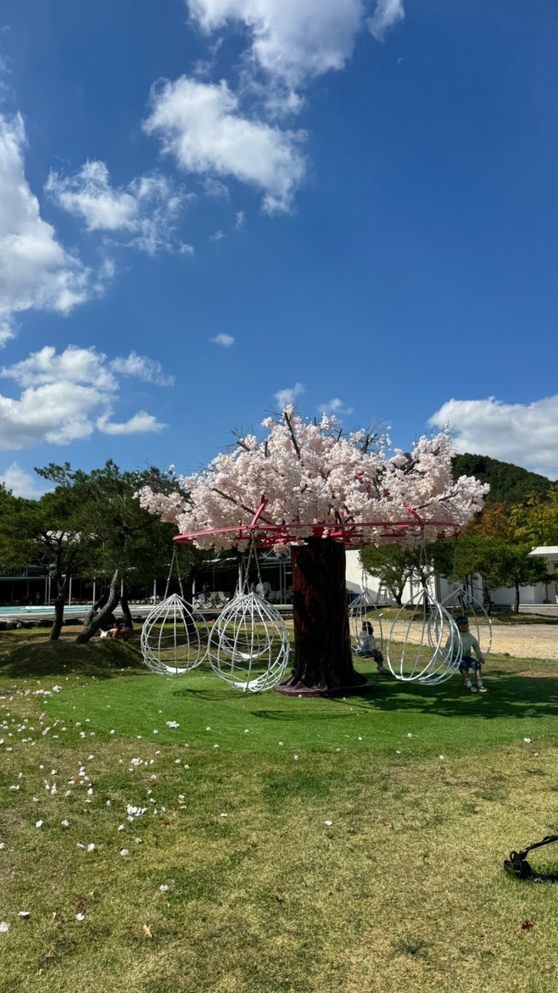 경주 감산카페ㅣ아이들 뛰어놀기 좋은 야외카페ㅣ산내카페