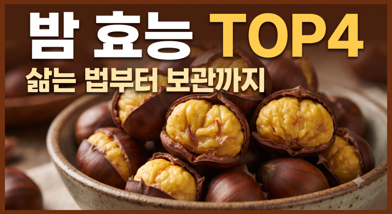 밤 효능부터 삶는 방법, 보관법까지 완벽 가이드 (+많이 먹으면 살찔까?)