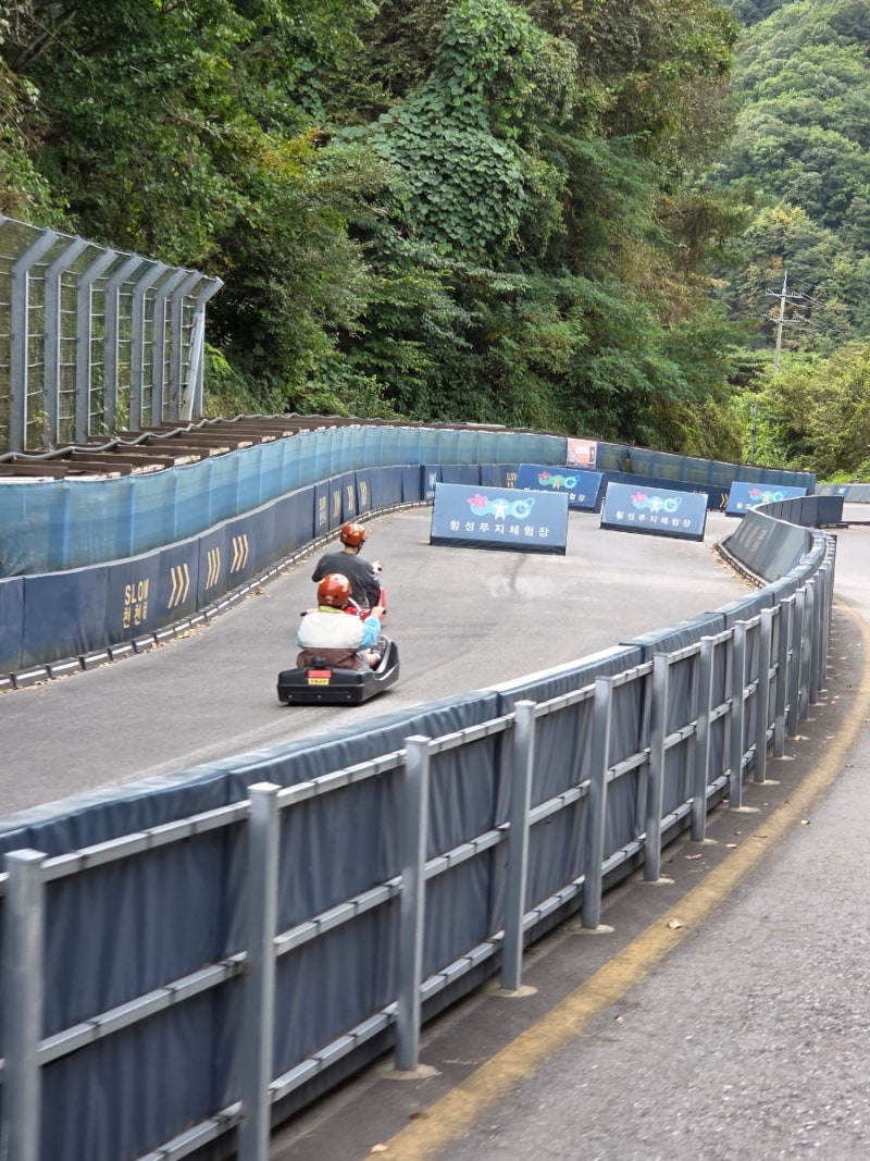 세계 최장 2.4km '횡성 루지' 2회 체험 후기 / 강원도 횡성 원주 액티비티 가족, 아이와 가볼만....