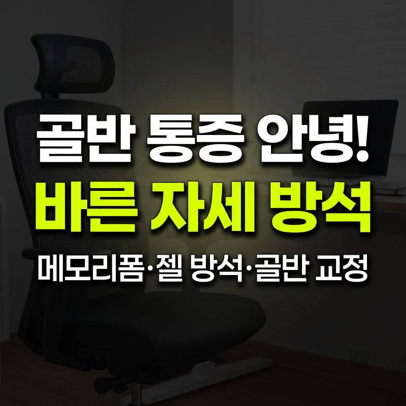 앉아있는 시간 긴 사람을 위한 바른 자세 유지 팁과 방석 비교