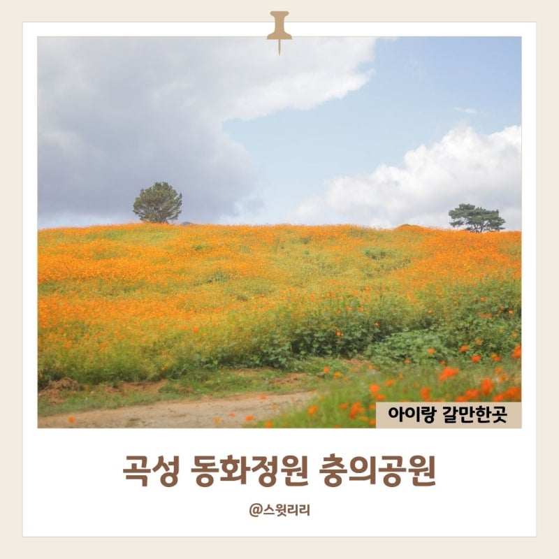 곡성 동화정원 충의공원 황화코스모스 주차 포토존 10월 아기랑 가볼만한곳
