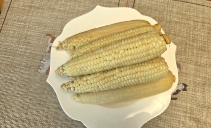 냉동 찐옥수수 맛있게 찜기로 촉촉하게 찌는 방법과 시간 조리법