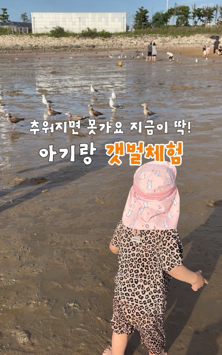 대부도 방아머리해변 아이랑 갯벌체험｜물때·주차·준비물 총정리