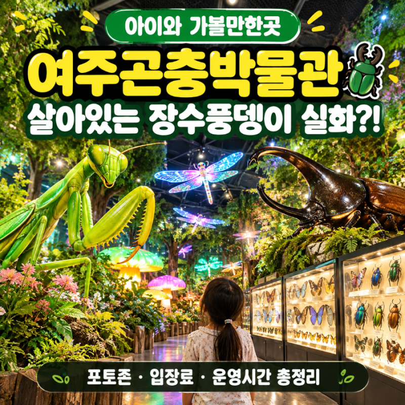 [여주 아이와 가볼만한곳] 여주곤충박물관 방문 후기 | 장수풍뎅이·사슴벌레 실물부터 포토....
