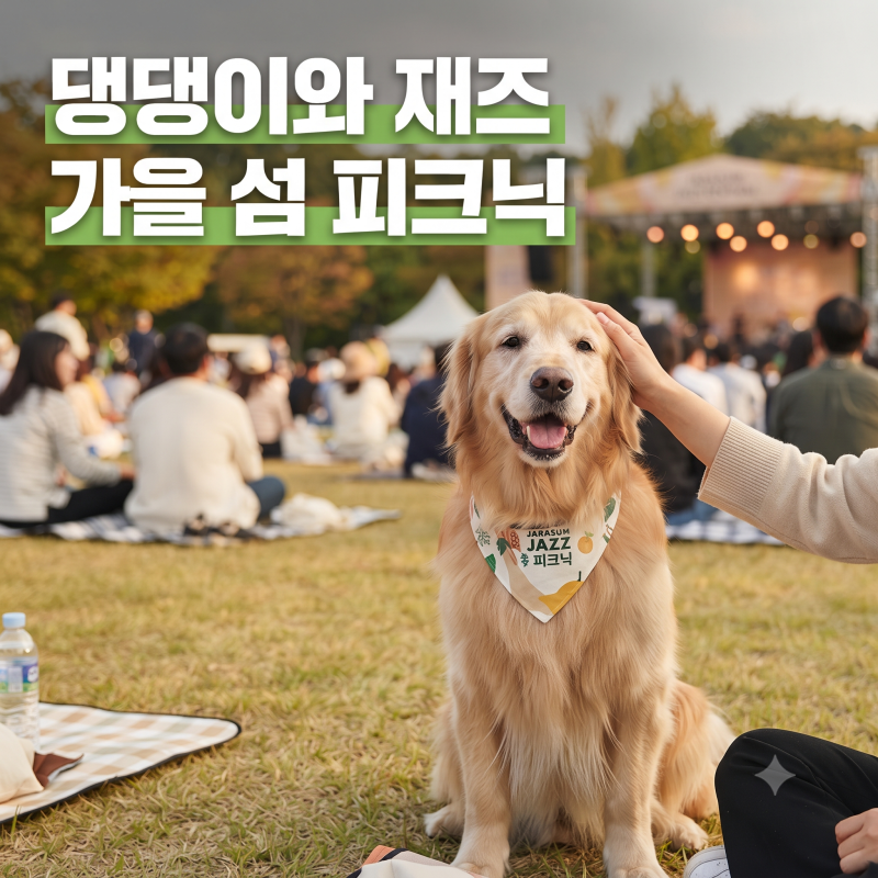 강아지랑 재즈 들으러 가요 자라섬 가기 전 이것만은 꼭 챙기세요