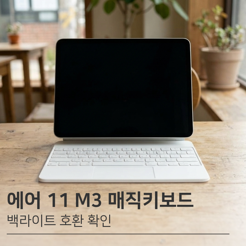 아이패드 에어 11 M3 매직키보드 백라이트 호환 질문 | 정품 한국어 화이트 확인 후기