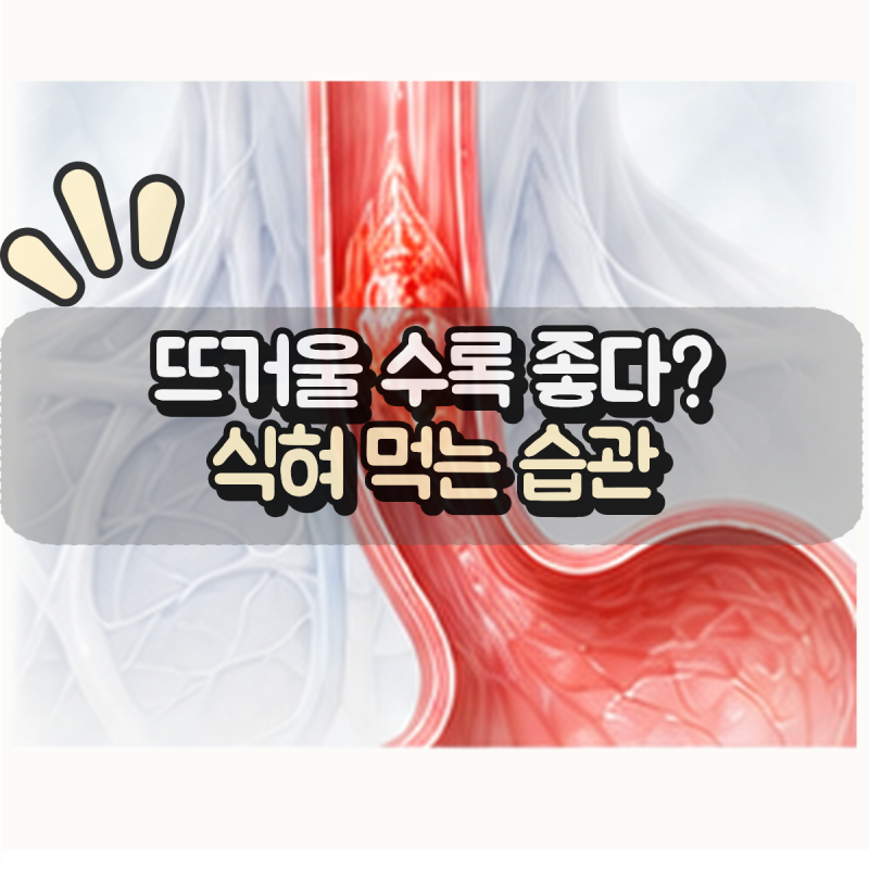 “뜨거운 국물을 즐겨 먹으면 식도암에 안 좋을까?” 식히는 습관이 중요한 이유