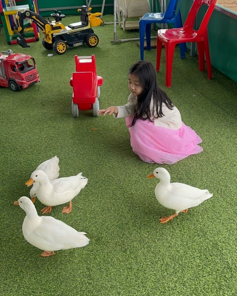 청주 데이트 코스 추천 버드앤쥬 아기랑 아이랑 청주실내가볼만한곳 짱잼