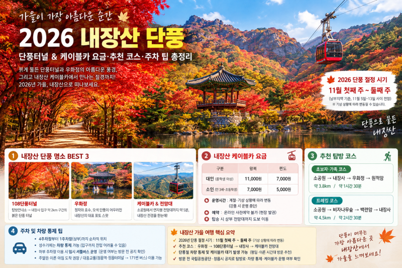 [2026 내장산 단풍] 단풍터널·케이블카 요금·추천 코스·주차 팁 총정리