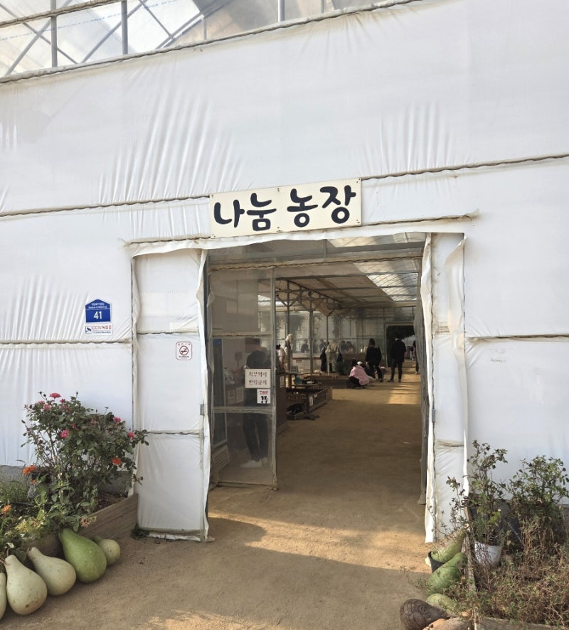아이랑 가볼만한곳 | 부천 나눔농장 | 입장료, 동물체험, 주차, 놀거리 소개