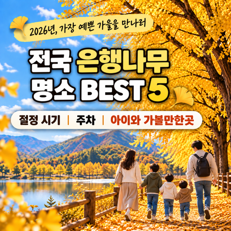1탄. 2026 전국 은행나무 명소 BEST 5｜절정 시기·주차·아이와 가볼만한곳
