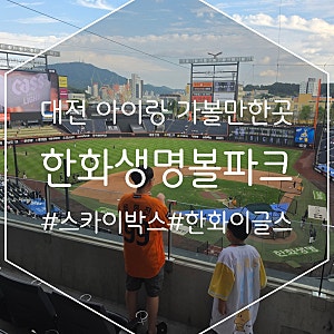 한화생명볼파크 스카이박스 24 한화이글스 경기 주차장