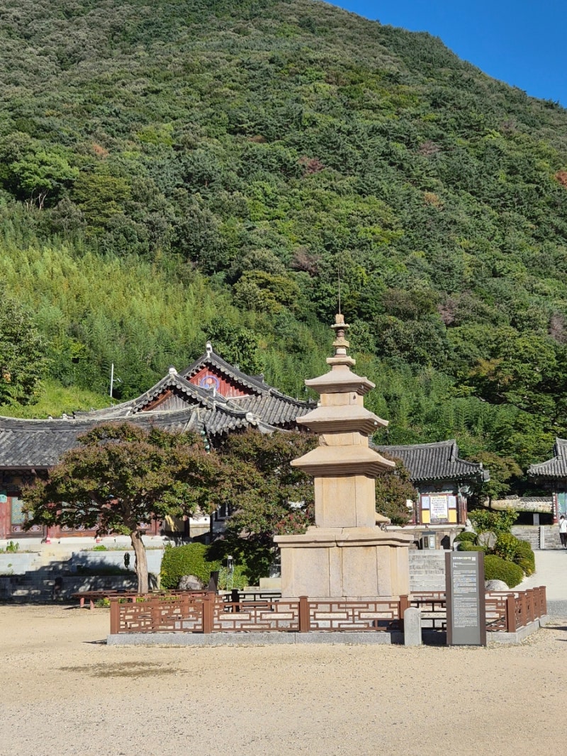 KTX 타고 떠나는 밀양 여행(1), 밀양역, 일품 이로정, 표충사, 영남루 별빛정원, 밀양관광호텔