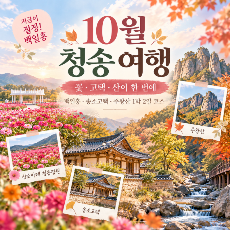 10월 청송 여행 지금 가야 하는 이유! 백일홍·주왕산·송소고택 1박2일 코스