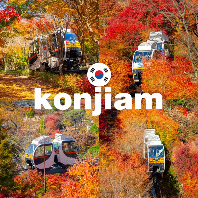 경기도 광주 곤지암 화담숲 예약 모노레일 2026 단풍 시기 체크