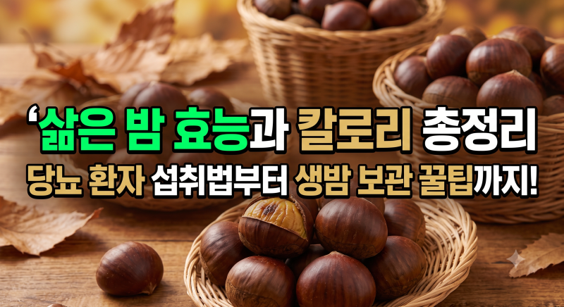 삶은 밤 효능과 칼로리 총정리: 당뇨 환자 섭취법부터 생밤 보관 꿀팁까지(+찐밤, 군밤)