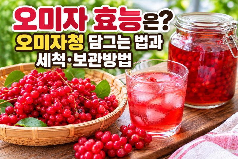 오미자 효능과 오미자청 담그는 법, 세척부터 보관까지