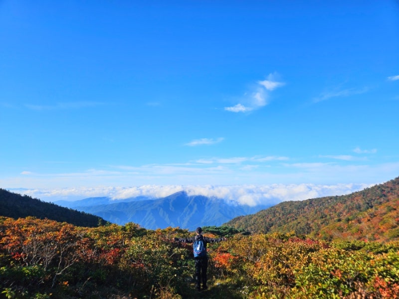[등산]26년 설악산(가을산행추천) 단풍절정 시기와 등산코스 총정리(초보 비선대부터 울산바....