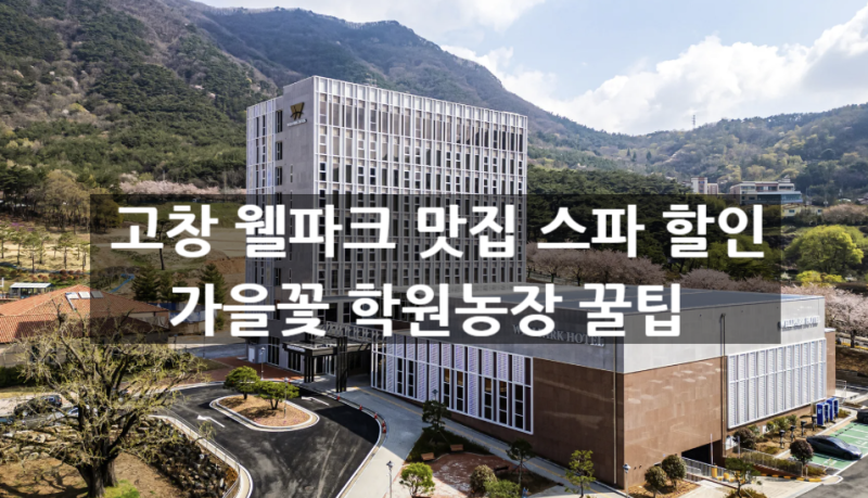 고창 웰파크호텔 맛집 스파 할인 가이드 학원농장까지