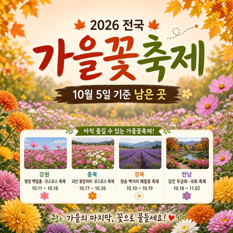 2026 전국 가을꽃축제 일정, 10월 5일 기준 남은 곳