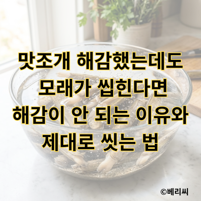 맛조개 해감했는데도 모래가 씹힌다면｜해감이 안 되는 이유와 제대로 씻는 법