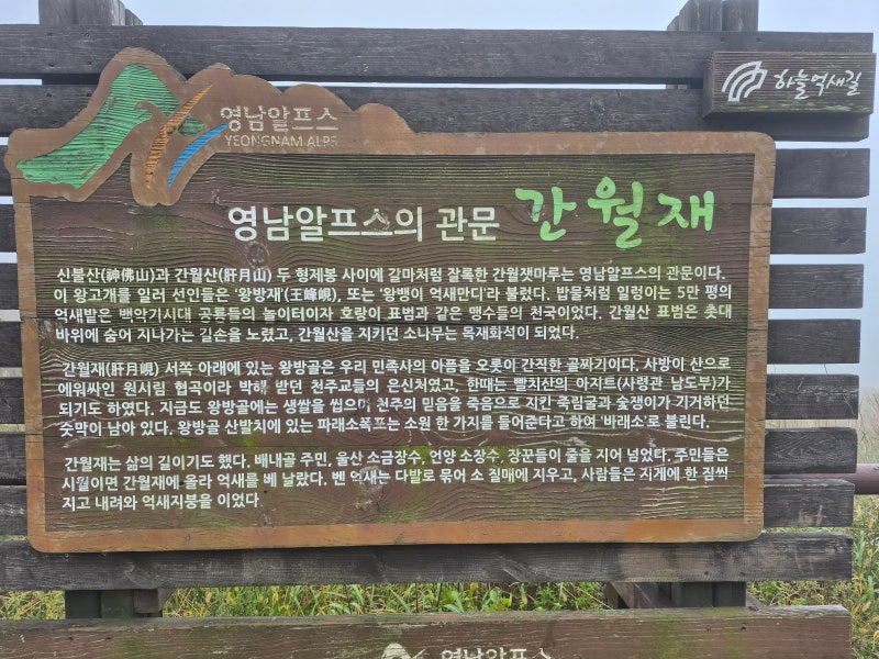 영남알프스 간월재 억새 보러 갔다가 망한 후기｜사슴농장코스 주차·난이도·준비물