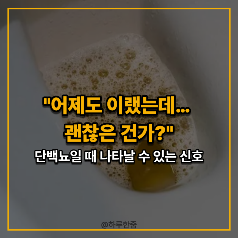 "소변에 거품이 왜 이렇게 많이 있지?" 그냥 넘기기 전 알아둘 단백뇨 원인과 증상