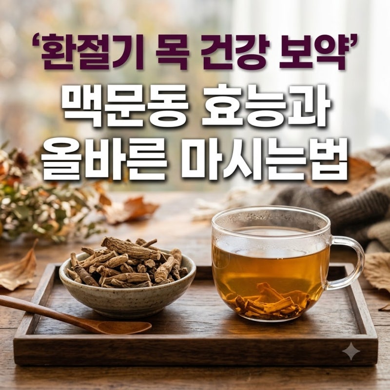 기관지 건강 맥문동 효능 영양성분 부작용 알고 먹는 차 마시는법
