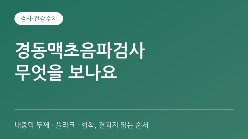경동맥초음파검사 무엇을 보나요? 내중막 두께·플라크·협착 결과 보는 법과 검사 전 준비