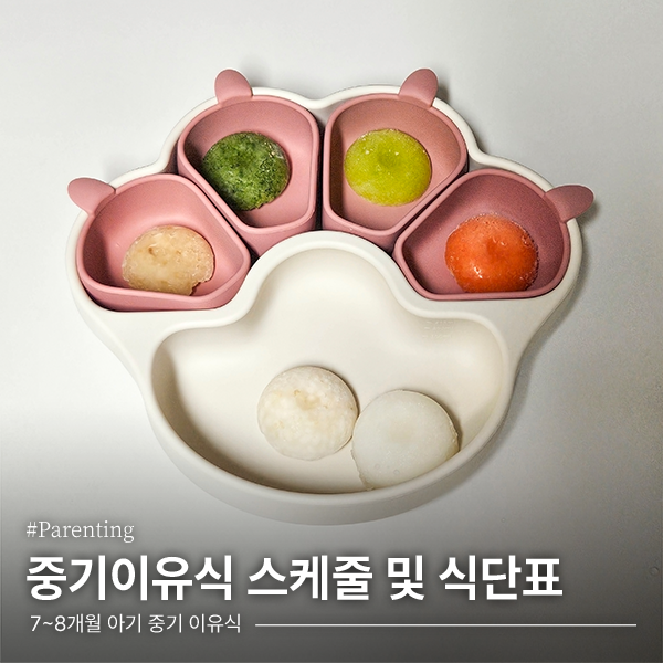 [이유식] 7~8개월 중기이유식 스케줄 및 식단표 공유