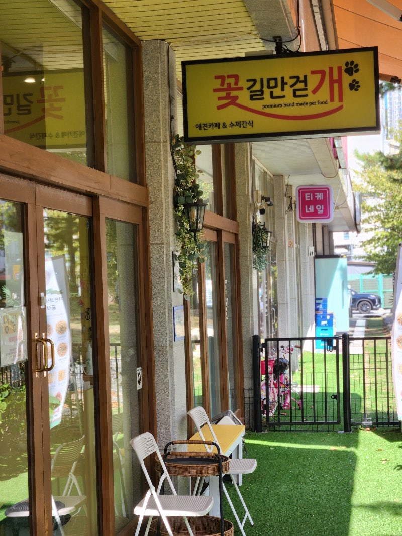 다대포 애견카페 꽃길만걷개 실내 야외 잔디밭까지 강아지랑 함께