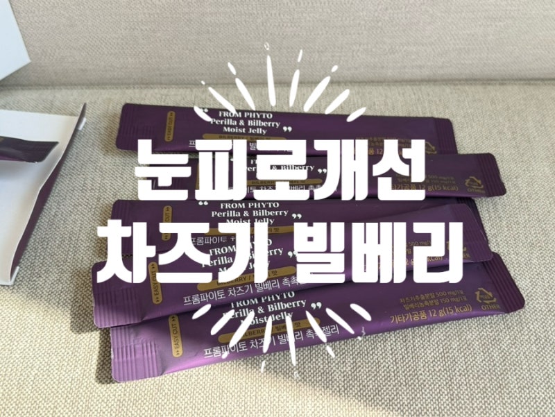 눈피로 영양제 프롬파이토 눈피로개선 차즈기 빌베리 촉촉젤리 후기